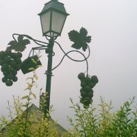 lamppost with grapes hanging, Анже