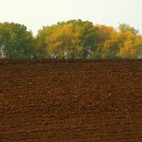 Zorané pole (Plowed field), Опава