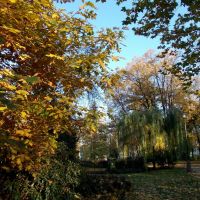 Podzim v opavských parcích (Autumn in parks of Opava), 3, Опава