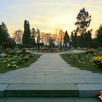 Opavský hřbitov (Cemetery in Opava) - mnoho květin na rozsypové loučce (many flowers on scatter meadow), Опава