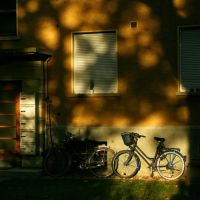 In focus: The City Bike, Берн