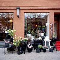 Flower shop - Spring  is  here !, Мальмё