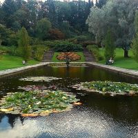 Dam vid den Botaniska trädgårdens Entré, Гетеборг