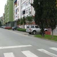 Novi Sad, ulica Kolo Srpskih Sestara, Нови-Сад