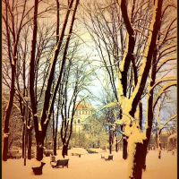 Menjala bih sto leta za jednu zimu, Белград