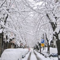First snow in Belgrade, Белград