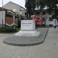 Kragujevac, spomenik Joakim Vujić 1772-1847, Крагуевач