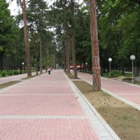 Kragujevac, Veliki Park, Крагуевач
