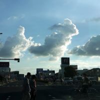 Ghost clouds, Касугаи
