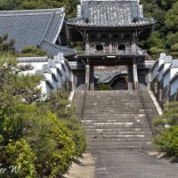 隨念寺, Gate, Оказаки