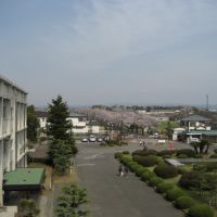 校舎3階より桜並木を眺める, Тойота