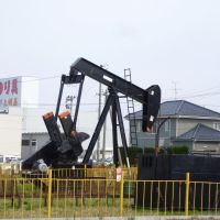 Yabase oilfield (八橋油田), Ога