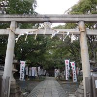 Sasutahiko shrine 刺田比古神社（岡の宮）, Вакэйама