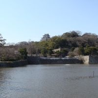 和歌山城  -Wakayama Castle-, Вакэйама