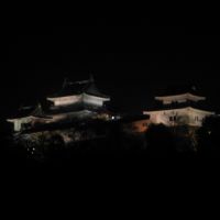 和歌山城(夜), Вакэйама
