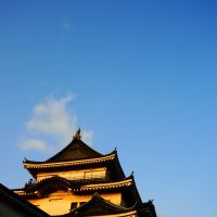 Wakayama Castle 和歌山城, Вакэйама