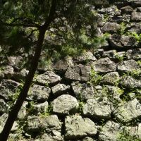 和歌山城の石垣 新裏坂にて Stone wall of Wakayama castle 2011.7.15, Вакэйама