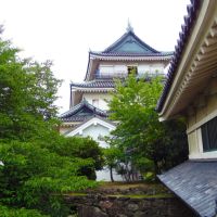 和歌山城 , Wakayama Castle, Вакэйама