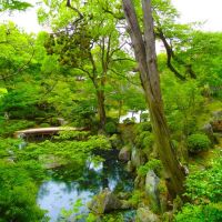 紅葉渓庭園 , Momijidani garden, Вакэйама