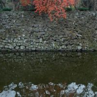 お堀と石垣と紅葉, Вакэйама