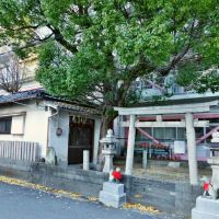 Matsuki Inari Shrine 松木稲荷, Вакэйама