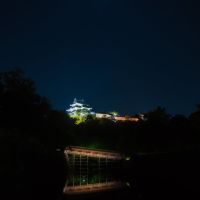 城の月夜, Вакэйама