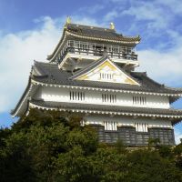 Gifu castle, Гифу