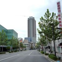 Chusetsu-bashi Street 忠節橋通り（真砂町通り）, Тайими