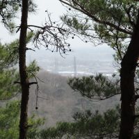 Ota view from Mt.Kanayama (ByCarioca_Japan), Ота