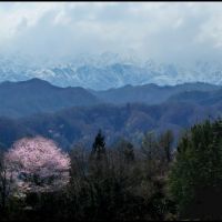 Cherry blossom and Northern Alps in Ogawa Village, Ичиносеки