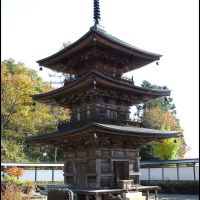 Pagoda of Kozanji Temple, Ичиносеки