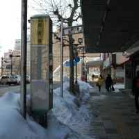 開運橋バス停(11.1.14)Kaiunbashi bus stop, Мориока