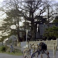 1975.03犀川神社, Каназава