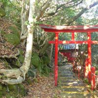 Home of the Tanuki God, Айкава