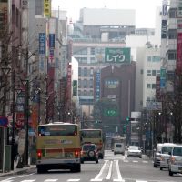 本厚木駅前通り(Hon-atsugi main street), Ацуги
