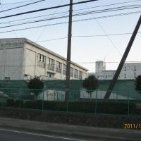 神奈川県立海老名高等学校, Ацуги