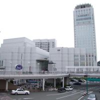 横須賀芸術劇場, Йокосука