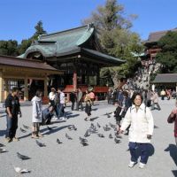 Sightseers and visitors. Hachimangu Shrine, Kamakura., Камакура