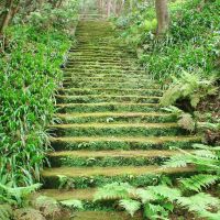 妙法寺 苔の階段, Камакура