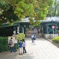 小田原城址公園, Одавара