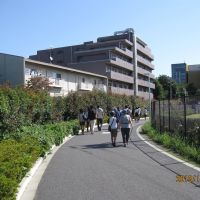 青山学院大学相模原キャンパスへ向かう歩道, Сагамихара