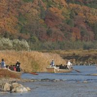 Hozu-Gawa River Trip, Arashiyama, Камеока