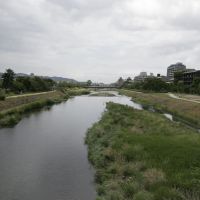 Kamo river 鴨川, Киото