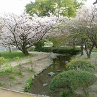 Kyoto Gyoen National Garden, Киото