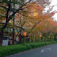 Autumn of Kiyamachi Street in Kyoto 秋の木屋町通, Киото