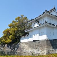 Nijō castle corner, Уйи