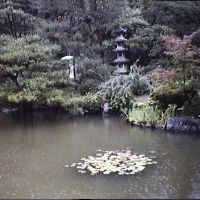 Kyoto - jardin japonais, Уйи