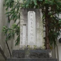 坂本龍馬生誕地碑（Ryoma Sakamoto Birthplace）, Кочи