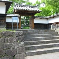 The former residence of the feudal lord Gyobu, Kyu Hosokawa Gyobu tei, 旧細川刑部邸, Кумамото