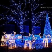 Christmas night at Sakuramachi, Кумамото